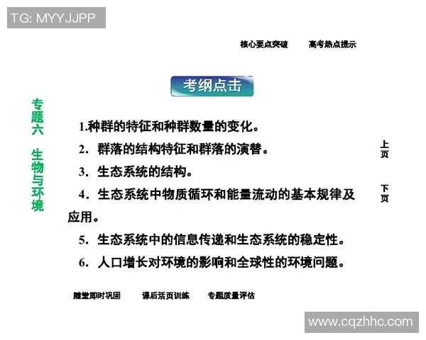 武汉飞盘队中路突破分析：优劣势及战术调整探讨